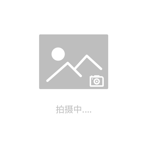 德國WALTHER 快速接頭 緊湊式熱量表